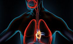 Akciğerlerdeki Sorunun Kaynağı Bir Protein Olabilir mi? CFTR