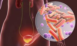 İdrar Yolu Enfeksiyonlarında Gizli Risk: Kalıcı Bakteriler