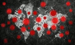 Prof. Dr. Ümit Savaşçı Uyardı: Bilim Dünyası 2026 İçin Bu Üç Virüsü Takip Ediyor