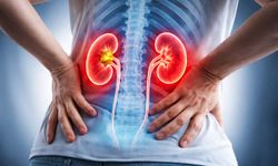 Böbrek Taşı Neden Olur? En Sık 7 Sebep