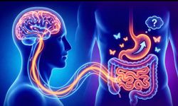 “İçgüdü” Mecaz Değil: Bilim, Bağırsakların Beyni Yönettiğini Doğruluyor
