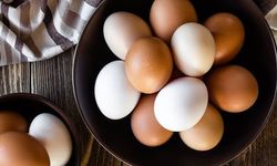 Kolesterol Korkusu Abartılı mı? Uzmanlar: Günde 1 Yumurta Güvenli ve Faydalı
