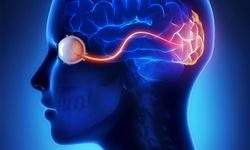 Astral Seyahat Gerçek mi, Beynin Bir Oyunu mu?