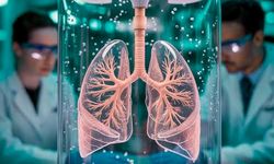 Yapay Akciğerle Hayatta Tutuldu, 2 Gün Sonra Nakil Yapıldı