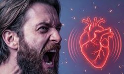 8 Dakikalık Öfke Damarları Kilitliyor! Kalp Krizi Riski Saatlerce Artıyor