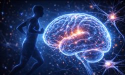 Hareket Beyni Yeniliyor: Dayanıklılık Artışının Perde Arkası