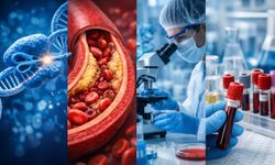 Tek Doz CRISPR Tedavisi LDL’yi %50’ye Kadar Düşürdü