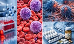 FDA, Kronik Lenfositik Lösemi ve Küçük Lenfositik Lenfoma Tedavisinde Çığır Açan İlaç Kombinasyonuna Onay Verdi