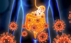 Norovirüs Nedir? Belirtileri ve Nasıl Bulaşır?