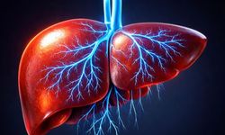 Şekersiz 9 Gün Metabolik Riskleri Geriletti