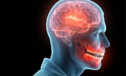 Ağız Sağlığı İhmal Edildikçe Beyin Riskte