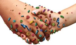 El Sıkışmadan Önce Düşünün: Grip Böyle Yayılıyor