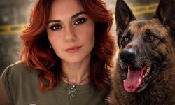 Arkansas’ta Köpek Saldırısı: 34 Yaşındaki Canan Akkoyun Hayatını Kaybetti