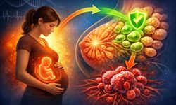 Bilim İnsanları Açıkladı: Erken Yaşta Gebelik Meme Kanseri Riskini Azaltabilir