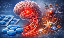 Viagra’nın Etken Maddesi Alzheimer’a Karşı Umut Olabilir