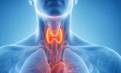 Sürekli Halsizlik ve Kilo Sorunu: Tiroidinizi Kontrol Ettirdiniz mi?