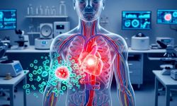 Kalp Nakli Tarih Olabilir: Japonya’dan Çığır Açan ReHeart Tedavisi