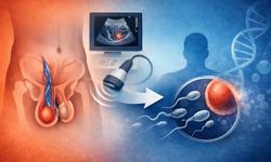 Varikosel Nedir, Nasıl Tedavi Edilir? Uzmanlar Açıkladı