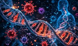 İnsan DNA’sının %8’i Virüslerden Oluşuyor