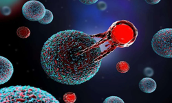 CAR-T Tedavisi Kanserle Mücadelede Yeni Umut