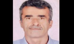 Çorum’da Köy Muhtarı Ali Telli Dana Saldırısında Öldü