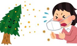 Polen alerjisi nedir, belirtileri, nedenleri ve tedavi yöntemleri
