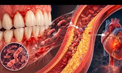 Kalp Krizi Riski Diş Etinde Başlayabilir: Uzmanlar Uyarıyor
