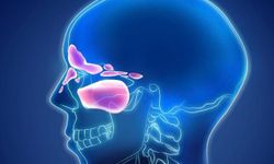 Sessiz İlerliyor: Sinüzit Sandığınızdan Daha Tehlikeli