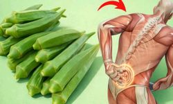 Bamya Mucizesi: 20 Faydasıyla Sofraların Sessiz Kahramanı