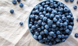 Bilim Açıkladı: Yaban Mersini Zihinsel Performansı Artırıyor