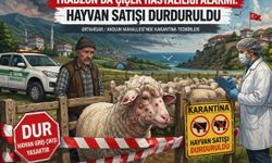 Trabzon’da Çiçek Hastalığı Alarmı: Hayvan Satışı Durduruldu