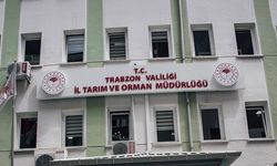 Trabzon’da Şok İddia: “Mobbing Yüzünden Ayrıldım”