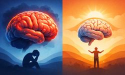 Bipolarda Şaşırtan Döngü: Beyin Büyüyor Sonra Küçülüyor