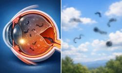 Gözünüzde Uçuşan Cisimler Varsa Dikkat: Risk Sandığınızdan Büyük