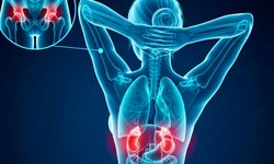 Kronik Stres Sadece Zihni Değil, Kasları da Tüketiyor