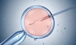 Tarihi Başarı: Tüp Bebekle Doğanların Sayısı 12 Milyonu Aştı