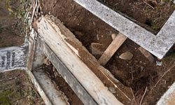 Çamlıhemşin’de Ayı Paniği: Bu Kez Mezarlığa Zarar Verdi