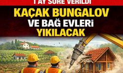 Tarım arazilerindeki izinsiz yapılara sıkı müdahale: 1 ay içinde yıkım