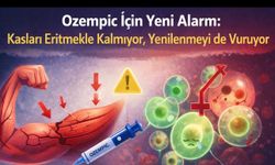 Ozempic İçin Ezber Bozan İddia: Kas Kök Hücrelerini de Hedef Alabilir