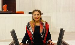 CHP Giresun Milletvekili Elvan Işık Gezmiş’ten Elif Tuana Torun Açıklaması