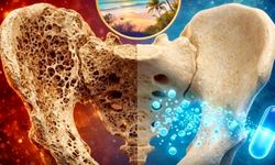 Japon bilim insanlarından osteoporoz için umut veren kemik araştırması