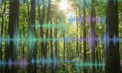 Doğanın Bilinmeyen Dili: Bitkilerin Ultrasonik Sesleri Ortaya Çıktı