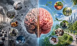 Çevre ve Yoksulluk Beyni Yaşlandırıyor: 34 Ülkeden Çarpıcı Araştırma