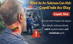 Rize’de Arı Sokması Can Aldı: Çayeli’nde Acı Olay