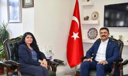 İki Çorumlu detayı Gülistan Doku dosyasında yeniden gündemde