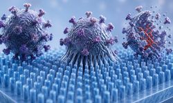 Temasla Virüsleri Parçalayan Plastik Geliştirildi: Yeni Yüzey Teknolojisi Dikkat Çekti