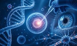 FDA’dan Tarihi Karar: Yaşlanmayı Hedefleyen Gen Tedavisi İnsanlarda Denenecek