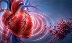 Kalbin Atışı Kanseri Nasıl Yavaşlatıyor? Bilim Dünyasında Dikkat Çeken Araştırma