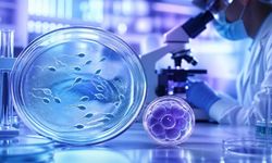 Laboratuvarda İnsan Spermi Üretildi İddiası: Kısırlık Tedavisinde Yeni Umut mu?