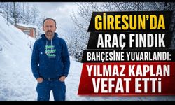Giresun’da Fındık Bahçesine Yuvarlanan Araçın Sürücüsü Yılmaz Kaplan vefat Etti